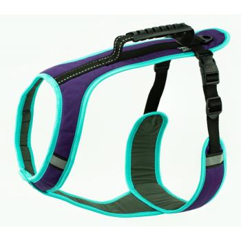 Preview: Sali Fulmo Hundegeschirr violett minze